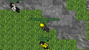 Fallen paladine on screen