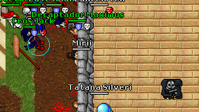 Mirii on screen