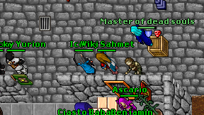 Ice fly on screen