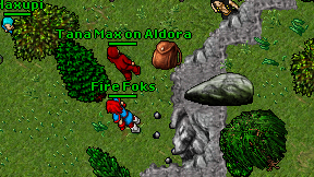 Fire Foks on screen