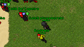 Galeb plugaworeki on screen