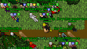 Gavofip on screen