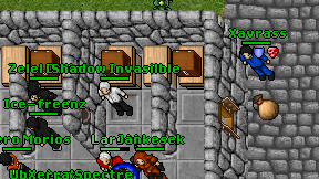 Shadow Invasilble on screen