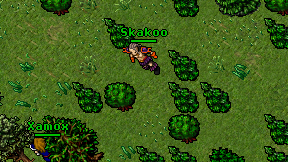 Skakoo on screen