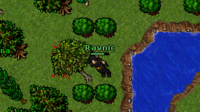Ravnic on screen