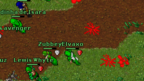 Elvaxo on screen