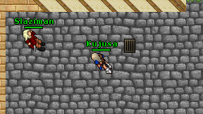 Kujusa on screen