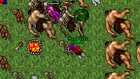 Sofun on screen