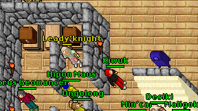 Leady'knight on screen