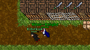 Vitor-Knight on screen