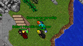 Sorcerer prodip on screen