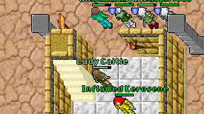 Lady Caitie on screen
