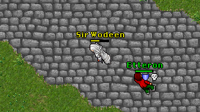 Sir Wodeen on screen