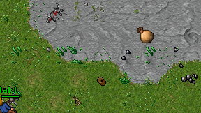 Elakt on screen