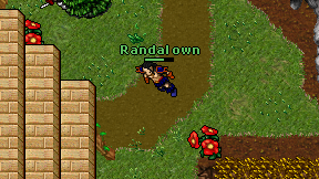 Randal own on screen