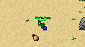 Wa'nted on screen