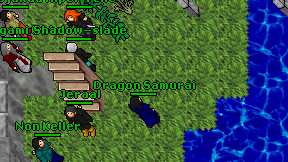Dragon Samurai on screen