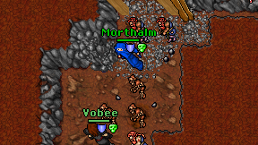 Morthalm on screen