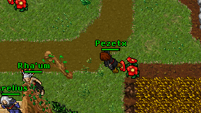Pezetx on screen