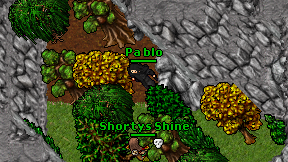Pa blo on screen