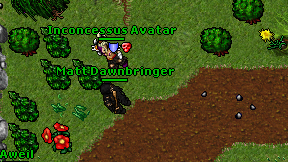 Matt Dawnbringer on screen
