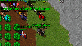 Oid Widow on screen