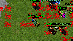 Grek Laro on screen