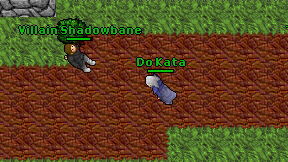 Do Kata on screen