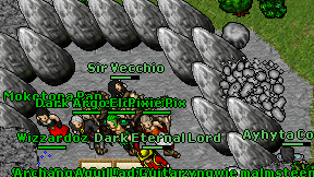 Sir Vecchio on screen