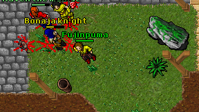 Fujinpuma on screen