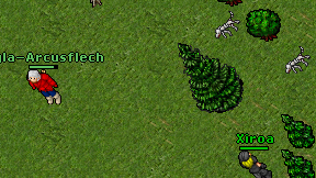Agla-Arcusflech on screen