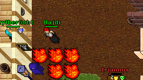 Hajdi on screen