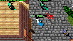 Snelisen on screen