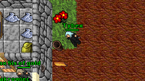 Tybex on screen