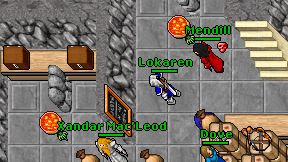 Lokaren on screen