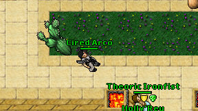 Cired Arco on screen