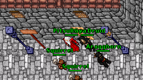 Raya Druid on screen