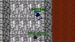 Lucky Luq on screen