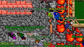 Maga Team on screen