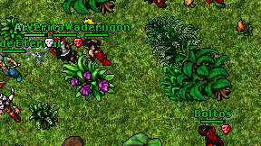 Adacho de Eternal on screen