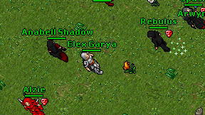 Elex Garya on screen