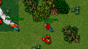 Faziomen on screen
