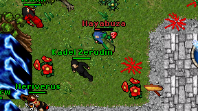 Hayabuza on screen