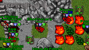 Ehsd Nacara on screen