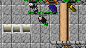 Noinus Amentik on screen
