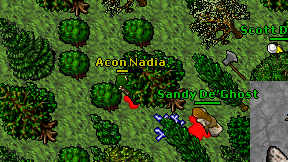 Acon Nadia on screen