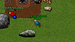 Leafstone on screen