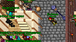 Echiso on screen