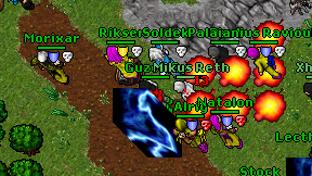 Guzek Gy on screen