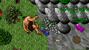 Trader karr on screen